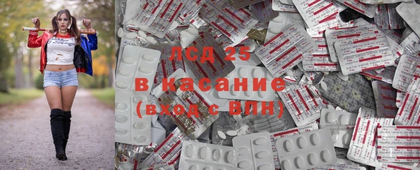 мдпв Богданович