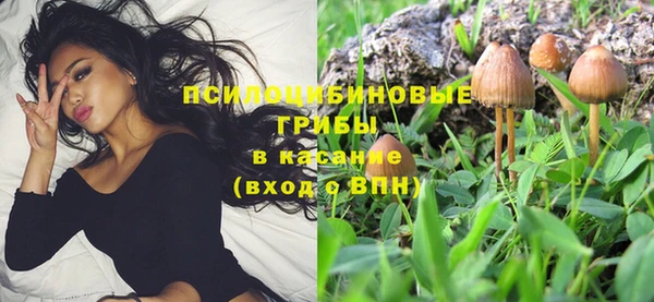ALPHA-PVP Богородск