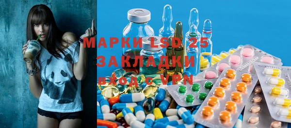 мдпв Богданович