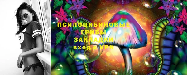 мдпв Богданович