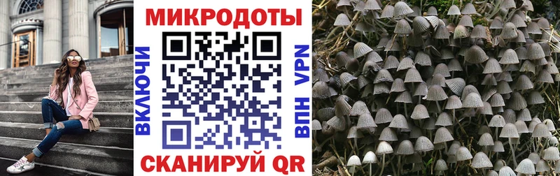 закладка  Кирс  Галлюциногенные грибы Magic Shrooms 