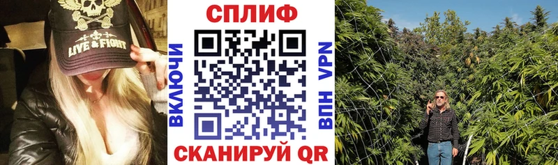 купить наркоту Кирс KRAKEN ONION Шишки марихуана LSD WEED